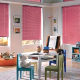 Horizontal Blind
